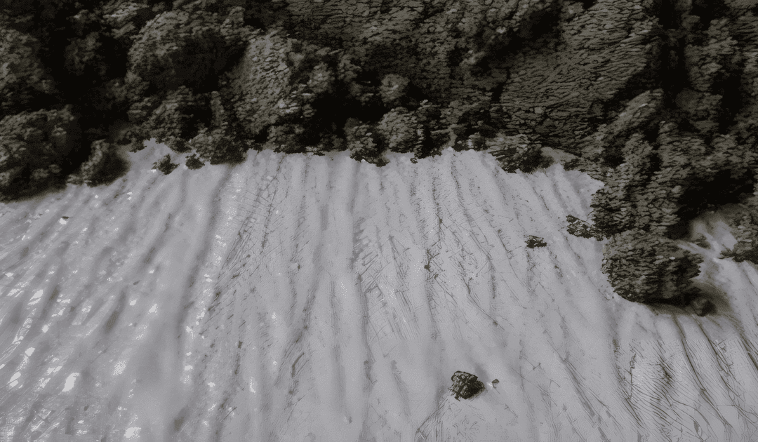 WINGRIP® NEXT – The next-generation clinging bridge