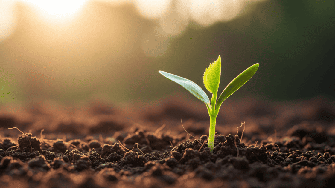 Winkler per l’uomo e per l’ambiente - Articolo news - Winkler Chimica